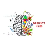 Cognitive Development